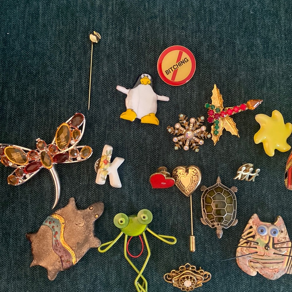 Vintage Pins Lot - dragonfly, cat, frog and more